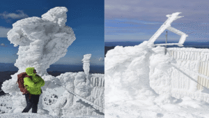 The Sentinel of Snežnik: Engineering an Unstoppable Frontier against the Great Glaze