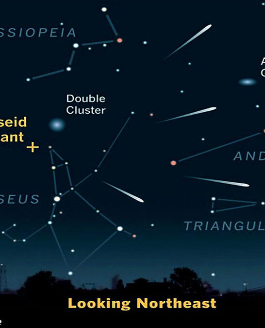 Perseid Meteor Shower Peaks August 12: Up to 100 Shooting Stars Per Hour Expected