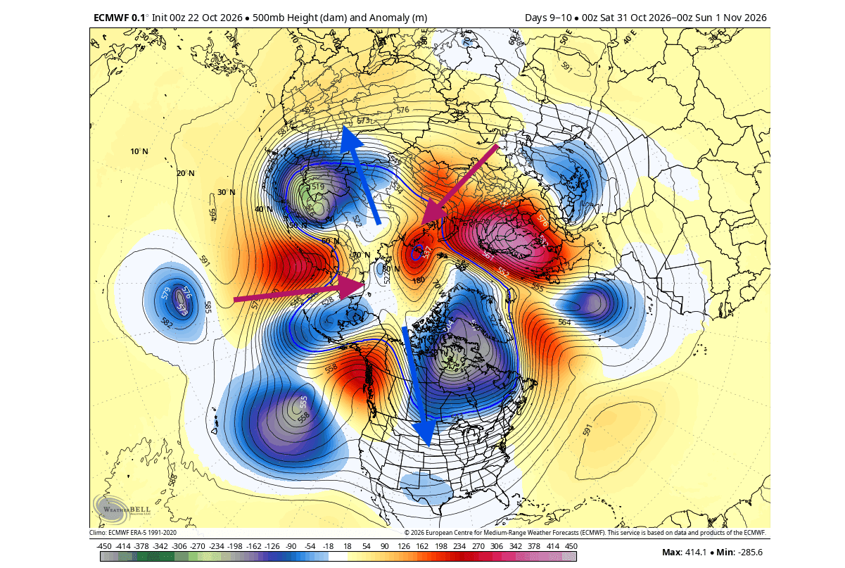 ECMWF 500mb forecast for late October over the Northern Hemisphere, with two cold cores split apart by high-pressure ridges